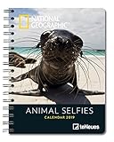 Animal Selfies 2019 - National Geographic Tierkalender, Buchkalender, Taschenkalender - 16,5 x 21,6 by 