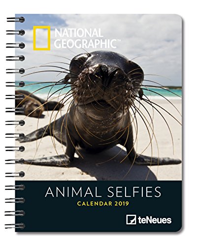 Animal Selfies 2019 - National Geographic Tierkalender, Buchkalender, Taschenkalender - 16,5 x 21,6