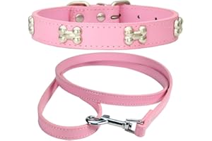 NEUSOP Collare Cane in Pelle Regolabile Guinzaglio per Cani, Collare per Cani, Collari per Cani Gatti Cucciolo Collare per Animali Domestici XS