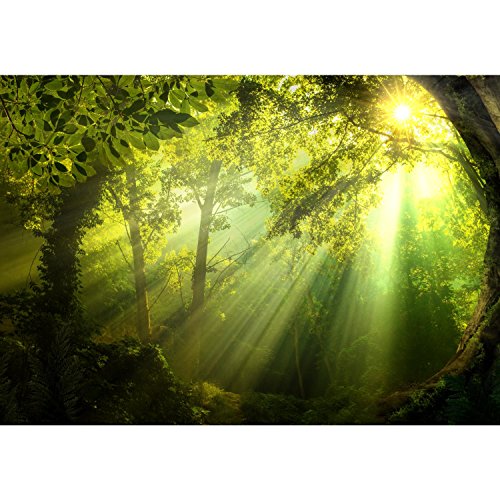Fototapete Wald 396 x 280 cm – Vliestapete – Wandtapete – Vlies Phototapete – Wand – Wandbilder XXL – !!! 100% MADE IN GERMANY !!! Runa Tapete 9102012a - 6