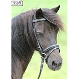 Trense Minishetty Falabella Shetty Minipony Leder Strass , Shetty