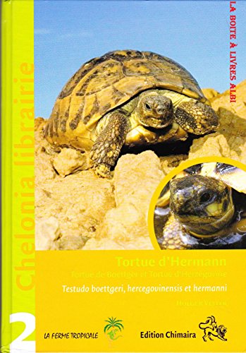 Download Tortue d'Hermann. Tortue de Boettger et tortue d'Herzégovine