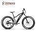 Produktbild Fitifito FT26 Elektrofahrrad Fatbike E-Bike Pedelec, 36V 250W Heckmotor 36V 13Ah 468W Samsung Akku, Kenda 26x4,0 MTB Reifen