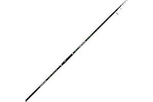 PESCAPLANET Canna Surfcasting MAVER REALITY 4,20 mt 150g anellata FUJI