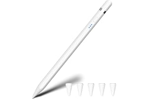 LPUNCD Pencil 1 Generazione Carica Rapida USB-C, Magnetico Penna per iPad con Rifiuto Palmo & Inclinazione Sensibilità, Professionale Pen per iPad 6-10, Air 3-5/M2, Mini 5-6, Pro M4, 11"/13", 12" 3-6