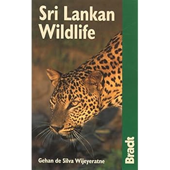 Sri Lankan Wildlife