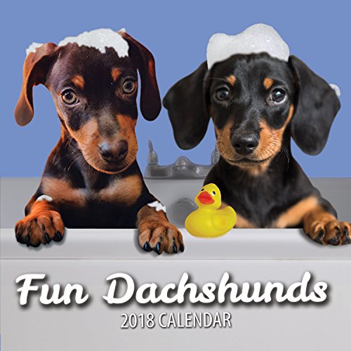 Download Fun Dachshunds 2018 Dachshund Wall Calendar