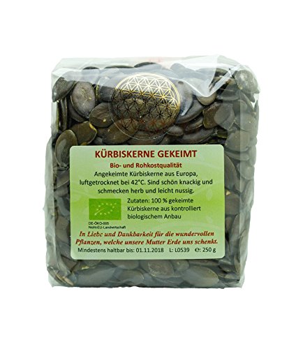 Preisvergleich Produktbild Regenbogenkreis Kürbiskerne gekeimt Bio, Raw