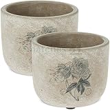 Descubre muchos otros artículos decorativos & Accesorios para todas las estaciones & creación de estilos en matches21.