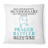 prager rattler kaufen ch Farbe: weiß | Maße: 40 x 40 cm | Material: 100 % Polyester | waschbar bis 30 Grad (auf links)
