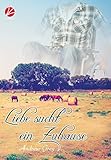 Bücher Neuerscheinungen 2022 - Liebe sucht ein Zuhause (Liebe... 4) von Andrew Grey