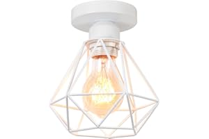 TOKIUS Lámparas de Techo Retro Plafón Ø 16cm Vintage Lámpara Colgante Diseño de Jaula de Hierro Blanco E27 Iluminación de Techo de Interior para Pasillo Porche Cocina Dormitorio (Plafon)