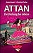 Attan: Die Drehung des Lebens by Christine Fischer, Arian Anwari