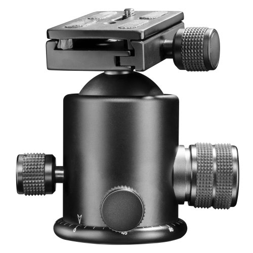 Walimex Pro FT-6665H Aluminium Pro-Kugelkopf (Belastbarkeit 8 kg, Schnellwechselplatte, Panoramaskala)