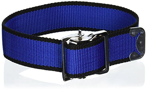 Preisvergleich Produktbild MP4 Beingurt für Skywalker Stelzen