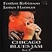 Produktbild Chicago Blues Jam - Volume Nine - Fenton Robinson - James Harman
