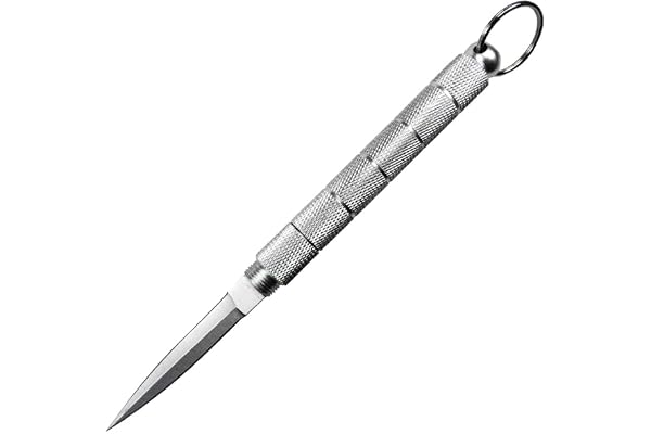 LionDeck Pocket Cutter & Emergency Window Breaker with Keychain Stainless Steel Utility Knife for Car Glass Breaking, Box & Letter Opening Compact Survival & Travel Tool (Sliver)