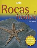 Image de Rocas Y Fosiles