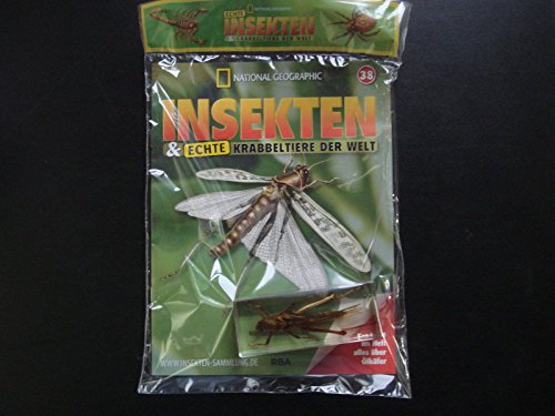 Preisvergleich Produktbild National Geographics Insektensammlung Nr. 38 - Wanderheuschrecke