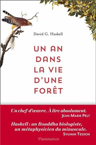 couverture de : Un an dans la vie d'une for&ecirc;t