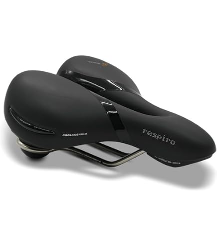 selle royal fahrradsattel manhattan Sport & Freizeit Category:E Bike_2020 Zoll-Auktion - 1 Damenrad Rahmen:41cm