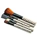 Foolzy® Brown 5 Pc Makeup Brush Set (BR-7A) RS.175.00