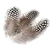 Produktbild ERGEOB Natur Dekoration Hahnfeder fasan Feder 100 stück, 4-10 cm läng, Ideal für Kostüme, Hüte, basteln, Zuhause Dekor, DIY usw.