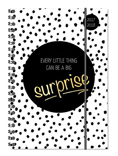 Preisvergleich Produktbild Collegetimer Surprise 2017 / 2018 - Schülerkalender A5 - Weekly - Ringbindung - 224 Seiten