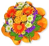 Hinweise zur Termin- und Grußtextübermittlung finden Sie weiter unten in der Produktbeschreibung