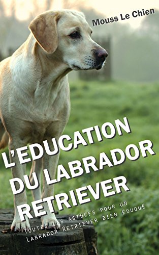 Download L'EDUCATION DU LABRADOR RETRIEVER: Toutes les astuces pour un Labrador Retriever bien éduqué Download L'EDUCATION DU LABRADOR RETRIEVER: Toutes les astuces pour un Labrador Retriever bien éduqué
