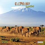 Elephant Families 2015 (Wonderful World) by