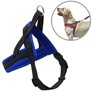 BPS® Arnés Correa para Perros Mascotas Collar Ajustable 4 Tamaños Colores para Elegir para Perro Pequeño Mediano y Grande (S, Azul) BPS-3881A