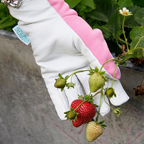 Lederne Gartenhandschuhe für Damen (mittelgroß / kleine Größe) – von Viridescent. Frauen lieben diese rosa, femininen, eng anliegenden Handschuhe. Schützend, bequem und langlebig (sogar sicher für das Zurückschneiden von Rosen). Die beste Geschenkidee für jede Gärtnerin. Kaufen sie es heute im Schlussverkauf! - 7