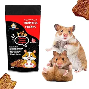 WiggleBoo Chicken, Carrot & Pumpkin Hamster Treat | Protein Rich | Natural Detoxifier | 100% Natural Crunchy Food Snack (30g)