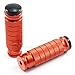 Aridox(TM) CNC Universal Motorcycle Foot Rests Foot Pegs Pedals Rear Set For Racing Sliver Blue Gold Red Green Orange Black C10