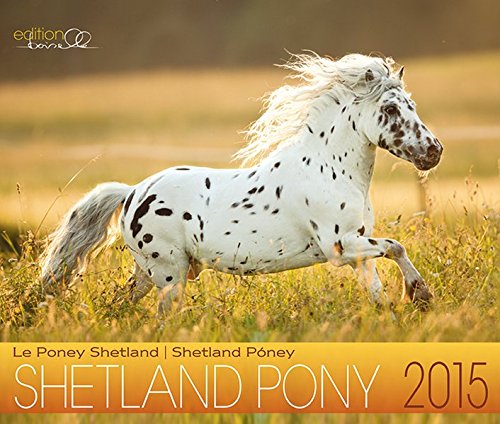 Shetland Pony 2015: Shetland Pony Pferdekalender