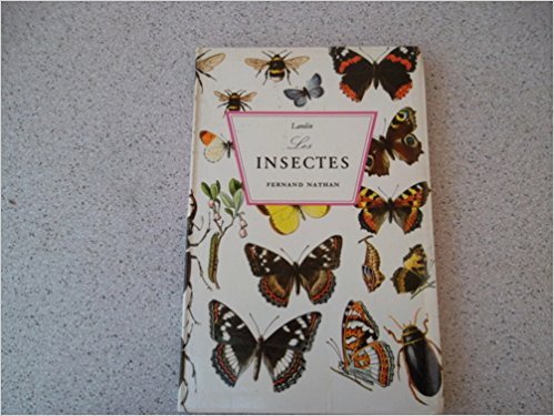 Download Les insectes. Download Les insectes.