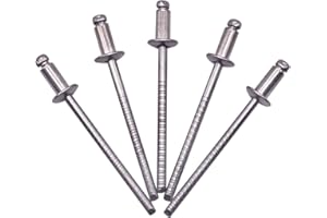 SKIR'CO (100 pezzi) Rivetti ciechi in acciaio inox 3,2 x 6 mm, testa a cupola, rivetti pop, DIN 7337, rivetto A2, mandrino scanalato