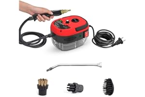 Andoer Limpiador a vapor, 2500 W, portátil, limpiador de vapor a presión de alta temperatura, con cabezales de cepillo para muebles de cocina, baño, coche