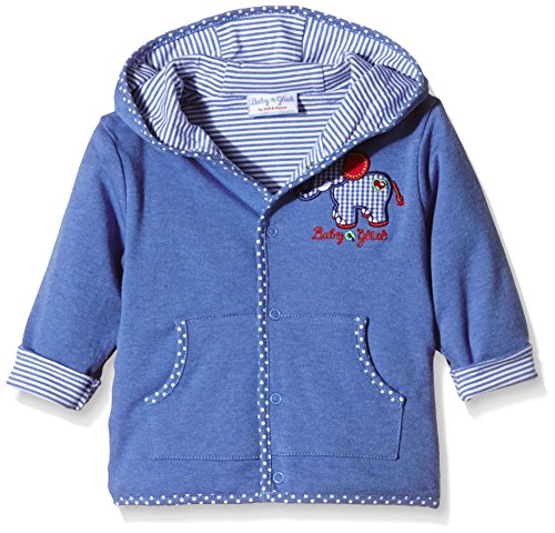 SALT AND PEPPER Baby Boys Hooded Long Sleeve Sweatshirt, Blue (classic blue 449), 3-6 Months