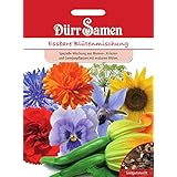 Essbare Blüten Bio Blumenmischung Samen