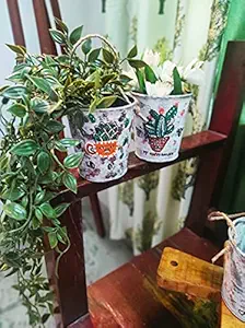 Swargiya Kala Metal Handpainted Pots Set of 2