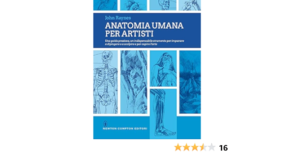 Amazon It Anatomia Umana Per Artisti Ediz Illustrata Raynes John Mezzacapa David Libri