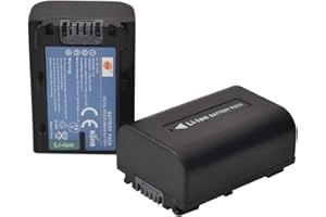 DSTE 2-Stück Ersatzakku Set NP-FV50 Batterie kompatibel mit Sony HDR-CX150E HDR-CX180E HDR-CX210E HDR-CX220 HDR-CX230 HDR-CX260V HDR-CX270E