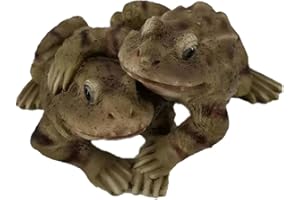G&H DECOR Statue de pelouse Grenouille - Figurine à la Main avec des détails complexes - Convient pour Une Utilisation en intérieur ou en extérieur (Amoureux)