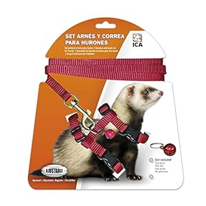 ICA DA970 Set de Arnés y Correa para Hurones, Rojo
