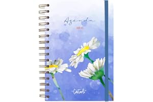 Casterli - Agenda Anual 2024 - Día página, tamaño A5. Con espiral Wire - O dorado