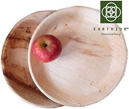 Set of 10 Round 10'' Eco Dinner Plates disposal & biodegradable premium party plates by Earthior