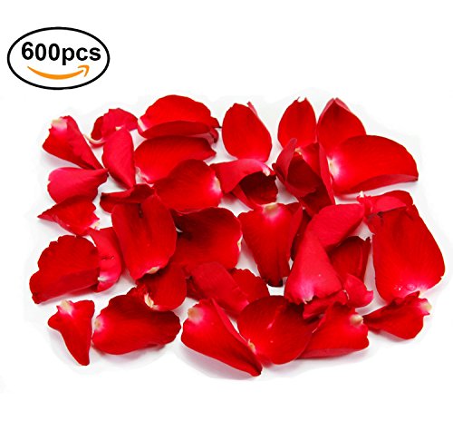 Valentinstag Rosenblüten, Künstliche Rosen, Blumenblätter / Rosenblätter aus Seide Fühlen, Rot, Blumen, Romantisch - 5