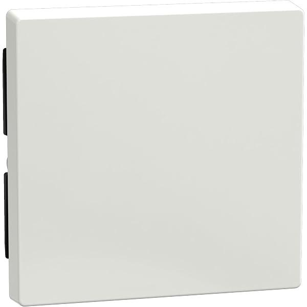Schneider Electric Merten 391619 Blindabdeckung, polarweiß